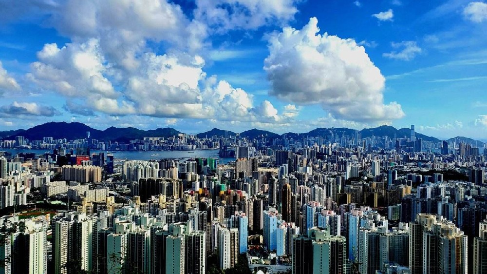 个人拥有的多本证书可以作为多类人员申报吗？